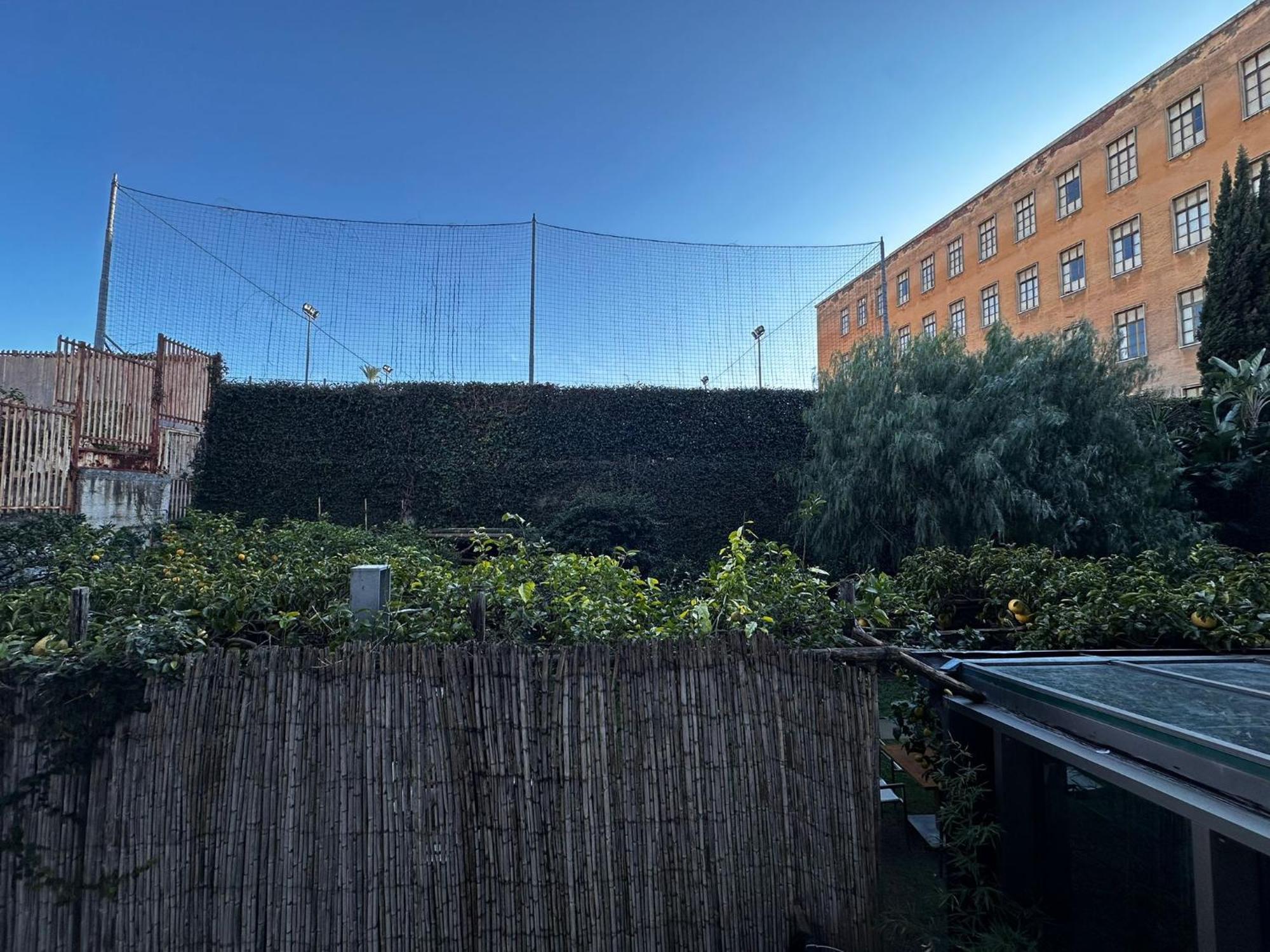 Domus Balcante B&B Πομπηία Εξωτερικό φωτογραφία